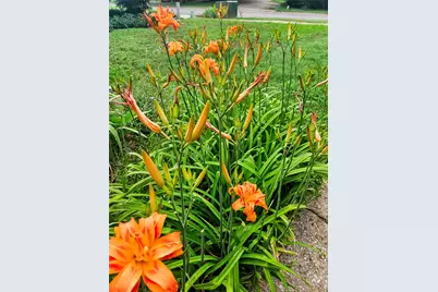 3618 Quiette Drive, Austin, TX 78754 - Photo 36