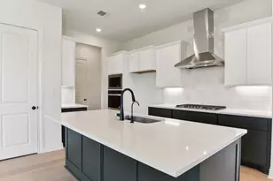 234 Flora Spgs Cv, Liberty Hill, TX 78642 - Photo 10