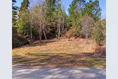 0 N Kanaio Drive, Bastrop, TX 78602 - Photo 2
