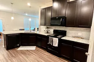 14205 Silver Lace Ln, Pflugerville, TX 78660 - Photo 8