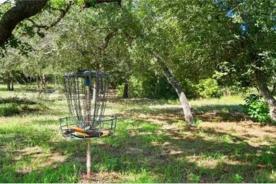 1043 Lewis Lane, Dale, TX 78616 - Photo 14