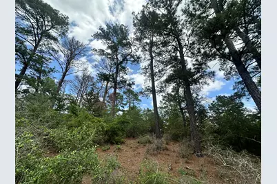217 Helemano Drive, Bastrop, TX 78602 - Photo 4