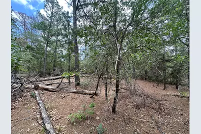217 Helemano Drive, Bastrop, TX 78602 - Photo 1