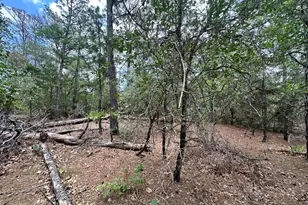 217 Helemano Dr, Bastrop, TX 78602 - Photo 1