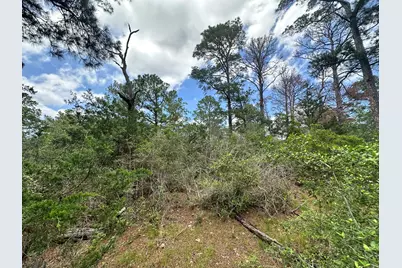 217 Helemano Drive, Bastrop, TX 78602 - Photo 6
