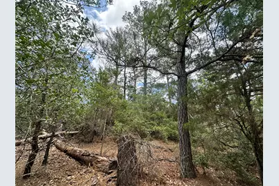 217 Helemano Drive, Bastrop, TX 78602 - Photo 2