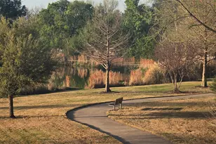 5145 Corelli Falls, Round Rock, TX 78665 - Photo 32