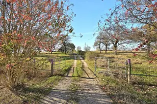 162 Fm 672 Rd, Dale, TX 78616 - Photo 1