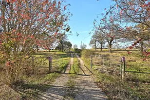 162 Fm 672 Rd, Dale, TX 78616 - Photo 2