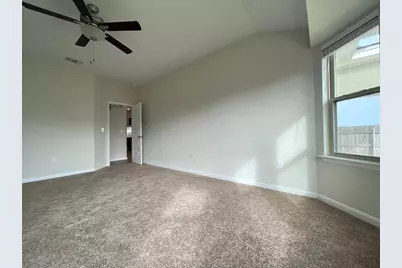 9712 Grapevine Leaf Drive, Manor, TX 78653 - Photo 8