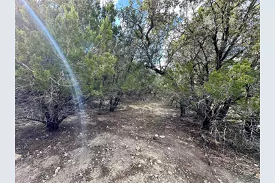 3203 Marshall Avenue, Lago Vista, TX 78645 - Photo 14