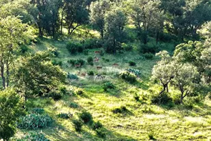 4 Tbd Cr 220, Briggs, TX 78608 - Photo 1