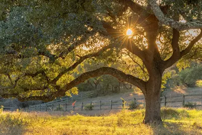 18700 Moreh Peak Pass, Austin, TX 78738 - Photo 8