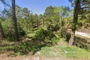 000 Wahane Ln, Bastrop, TX 78602 - Photo 1
