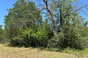 223 Foothill Rd, Bastrop, TX 78602 - Photo 20