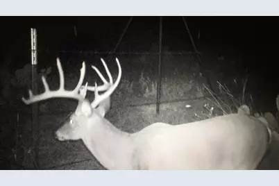 0 Rr 152, Llano, TX 78643 - Photo 8