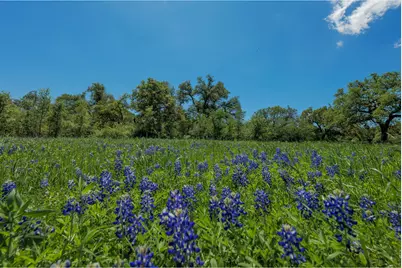 30201 Live Oak Trail, Georgetown, TX 78633 - Photo 28