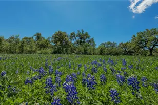 30201 Live Oak Trail, Georgetown, TX 78633 - Photo 28