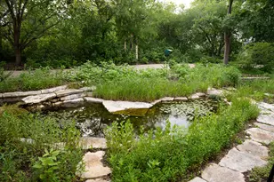 13800 Lone Rider Trail, Austin, TX 78738 - Photo 4