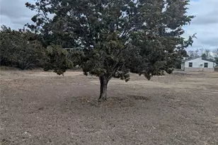 111 Rose Dr, Dripping Springs, TX 78620 - Photo 6