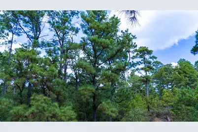 Lot 1447 Koae Court, Bastrop, TX 78602 - Photo 8