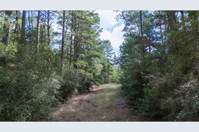 Lot 1447 Koae Court, Bastrop, TX 78602 - Photo 6