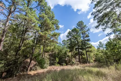 Lot 1447 Koae Court, Bastrop, TX 78602 - Photo 4