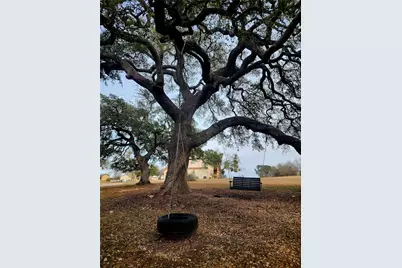 152 Silver Hawk Court, Dripping Springs, TX 78620 - Photo 4