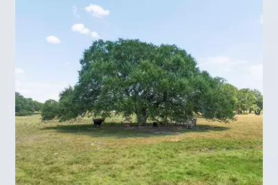 265 Boulton Creek Road, Flatonia, TX 78941 - Photo 4