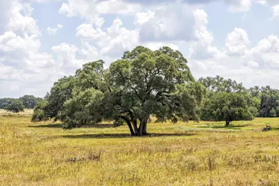 265 Boulton Creek Road, Flatonia, TX 78941 - Photo 8