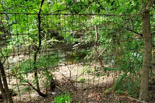 5512 Joe Sayers Ave, Austin, TX 78756 - Photo 6