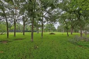 288 The Forest Rd, Dale, TX 78616 - Photo 24