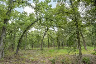 418-E County Road 405, Buckholts, TX 76518 - Photo 1