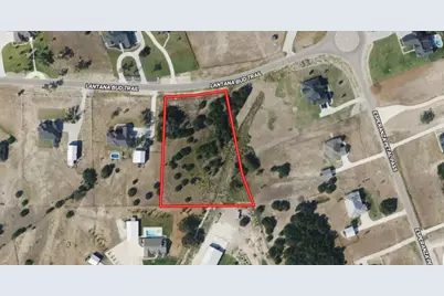 220 Lantana Bud Trail, Liberty Hill, TX 78642 - Photo 8