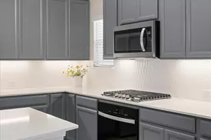 113 Muddy Crk Wy, Kyle, TX 78640 - Photo 20