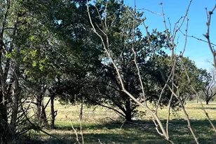 0 Cr 421 Rd, Spicewood, TX 78669 - Photo 12