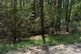 Lot 250 Hekili Dr, Bastrop, TX 78602 - Photo 1