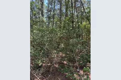 Lot 250 Hekili Drive, Bastrop, TX 78602 - Photo 4