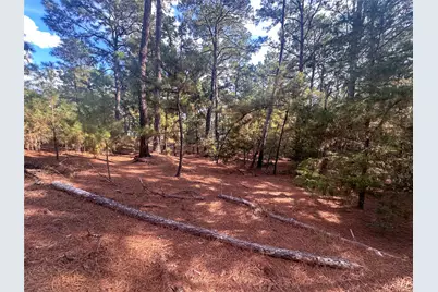 Lot 84 Hill Ridge Drive, Bastrop, TX 78602 - Photo 4