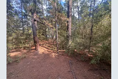 Lot 84 Hill Ridge Drive, Bastrop, TX 78602 - Photo 12