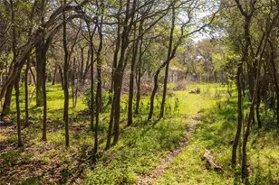 305 Reimer Ave, San Marcos, TX 78666 - Photo 30