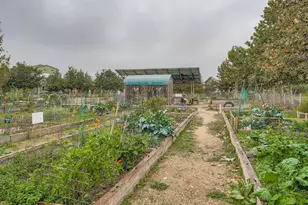 3905 Teaff St, Austin, TX 78723 - Photo 18