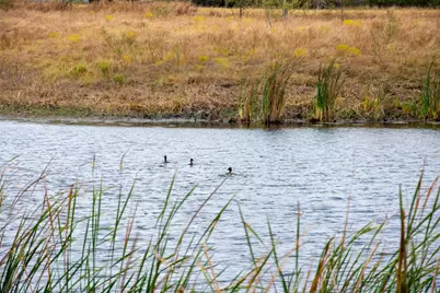 2689 County Road 419 Road, Taylor, TX 76574 - Photo 24