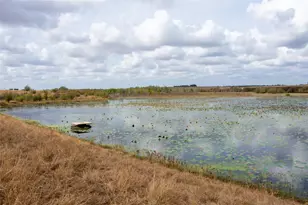 2689 County Road 419 Rd, Taylor, TX 76574 - Photo 1