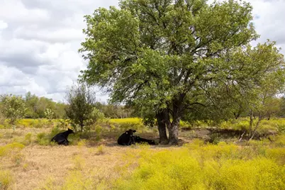 2689 County Road 419 Road, Taylor, TX 76574 - Photo 20