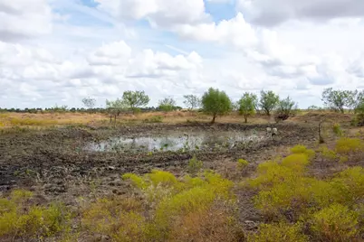 2689 County Road 419 Road, Taylor, TX 76574 - Photo 8