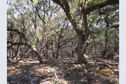 20903 Oak Dale Drive, Lago Vista, TX 78645 - Photo 6