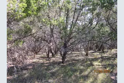 20903 Oak Dale Drive, Lago Vista, TX 78645 - Photo 12