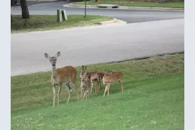 20903 Oak Dale Drive, Lago Vista, TX 78645 - Photo 18