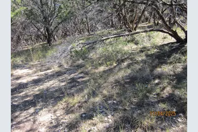 20903 Oak Dale Drive, Lago Vista, TX 78645 - Photo 10